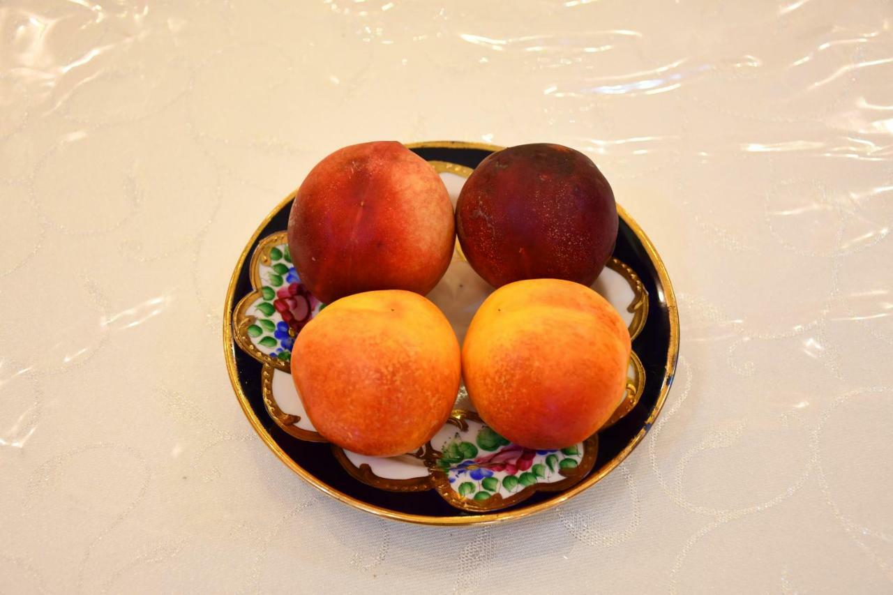 Nurziyo Guest House 塔什干 外观 照片